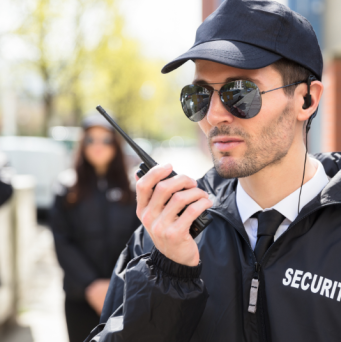 search engine organized